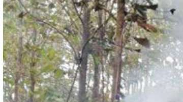 Todos los integrantes de la familia Steinberg, originaria de NY, perdieron la vida.