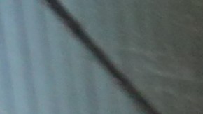 Voluntaria Catalina Cruz reparte panfletos sobre la extensión para renovar DACA.