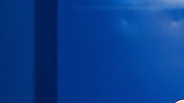 Federer podría comprar tu casa 200 veces en un año.