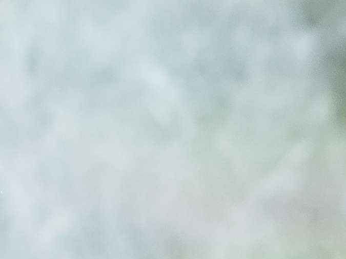 Carne asada a la parrilla