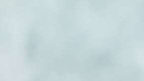 Las carnes rojas son "veneno" para el organismo.