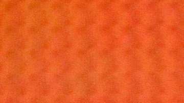 Margot Elise Robbie.