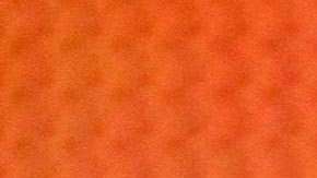 Margot Robbie fue nominada a los Globos de Oro.