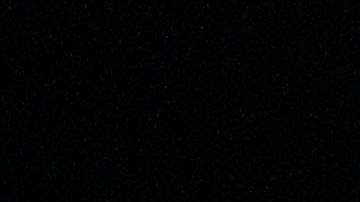 Dennis Rodman. Getty Images