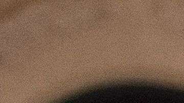 El libro "Fire and Fury" de Michael Wolf sugiere que es Nikki Haley la amante de Trump