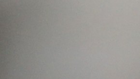 NEW YORK, NY - MARCH 09:  Immigration activist Ravi Ragbir attends a Solidarity Rally Against Deportation at Foley Square near the Immigration and Customs Enforcement (ICE), office on March 9, 2017 in New York City. Ragbir went for his annual check-in with ICE, facing possible deportation because of a 2001 wire fraud conviction. The green card holder from Trinidad and 26-year resident of the United States is the director of the New Sanctuary Coalition, a network of interfaith congregations and activists trying to protect immigrant families from detention and deportation. He is married to an American and has an American daughter, but his previous conviction makes his green card subject to annual review. At his check-in, ICE told him to report back to them a month later.  (Photo by John Moore/Getty Images)