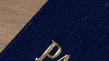 Los parámetros de los pasaportes son impuestos por la Organización de Aviación Civil Internacional (OACI).