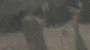 The New York Times compró The Athletic