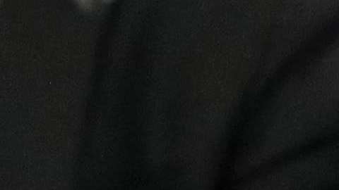 Barack Obama y el príncipe Harry se han vuelto grandes amigos.