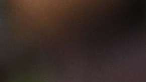 Un año después de la llegada de Trump al poder el país está más dividido que nunca