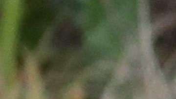 Este es un fuerte golpe al ego del presidente Trump