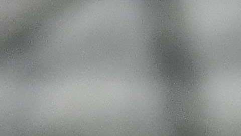 Giovani Dos Santos, delantero de LA Galaxy