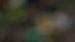 Elías Hernán Hernández celebra un gol a los Diablos Rojos del Toluca con el León de la Liga MX. (Foto: Imago7/Sergio Mejía)