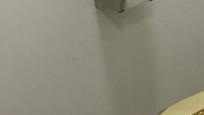 El retrete de oro ofrecido a la Casa Blanca fue creado por el artista italiano Maurizio Cattelan y funciona como un inodoro común.