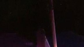 La policía acudió a la casa de los Kologi tras una llamada al 911.