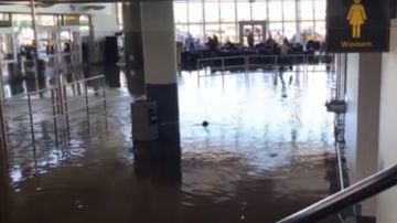 Decenas de personas fueron afectadas por la inundación en el JFK.