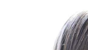 Kendall Jenner se defiende de las burlas.