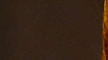 Marjorie de Sousa es severamente criticada.