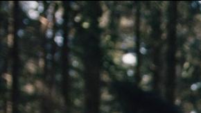 'The End of the F***ing World' ha sorprendido a críticos y fans.