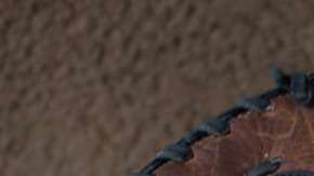 Algunos clásicos y otros originales estarán de moda este año.