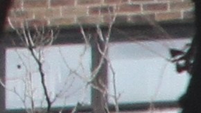 Hispanos del Lower Eastside opinan sobre las deficiencias en sus apartamentos en NYCHA.