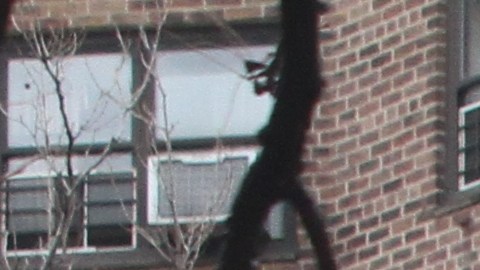 Hispanos del Lower Eastside opinan sobre las deficiencias en sus apartamentos en NYCHA.