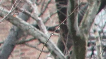 Hispanos del Lower Eastside opinan sobre las deficiencias en sus apartamentos en NYCHA.