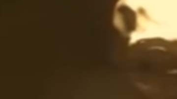 El supuesto ser de otro planeta se ve de frente a la cámara.