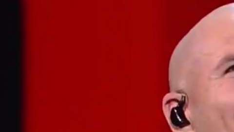 Pitbull.