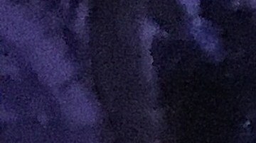 Decenas de manifestantes se congregaron frente a la casa de Shumer en Brooklyn.