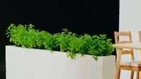 Eolus será de gran ayuda para personas de la tercera edad.