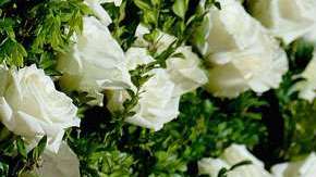 Scarlett Johansson apoya el movimiento Time's UP