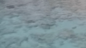 Un drone captó las imágenes en Islas Bahamas.
