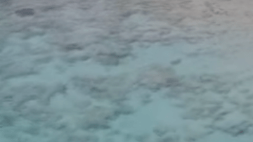 Un drone captó las imágenes en Islas Bahamas.