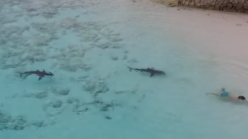 Un drone captó las imágenes en Islas Bahamas.
