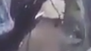 Hombre de 81 años pierde su casa y todas sus pertenencias y animales en un incendio. Solo consigue salvar a su gatito.