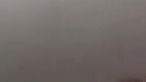 Screen Shot 2018-01-26 at 7.53.45 PM