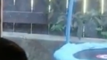 Niña de 4 años, ciega y con cáncer se reencuentra con su gato perdido.