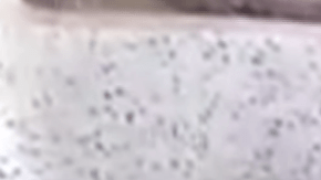 Una rata parece que se está bañando, la realidad es bien distinta.