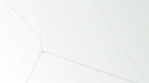 Quiso matar una araña en su departamento y quemó todo su edificio.