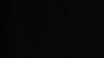 La semana pasada un juez de California ordenó al presidente Trump revivir parcialmente  DACA