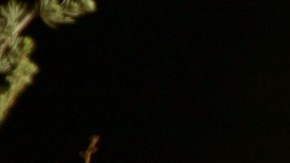 Las mujeres tienden a involucrarse más en las relaciones.