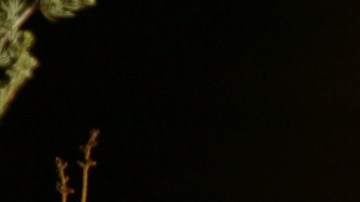 Las mujeres tienden a involucrarse más en las relaciones.