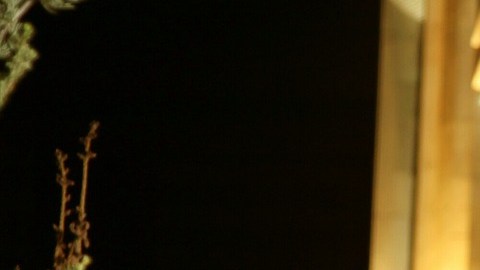 Las mujeres tienden a involucrarse más en las relaciones.