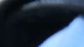 Cinco inmigrantes que cometieron delitos de abuso sexual de menores están en proceso de desnaturalización