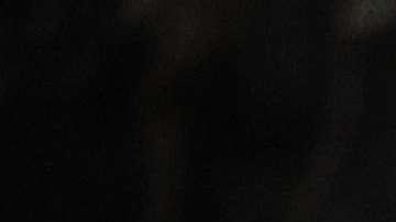 Trump durante su primer discurso del Estado de la Unión. EFE