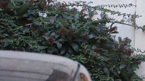 Los escándalos sexuales salpican a la ONG, Oxfam.