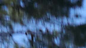 El infome cuestiona exhaustivamente las condiciones de detención de ICE