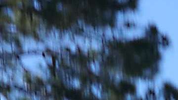 El infome cuestiona exhaustivamente las condiciones de detención de ICE