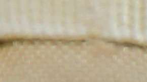 Aseguran que la construcción del muro en nada evitara que los inmigrantes dejen vencer sus visas y se queden ilegalmente en EEUU